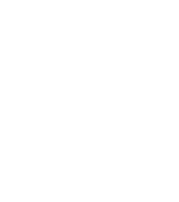 Bars and Nightclubs